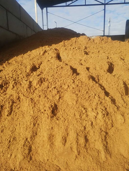 Mokry placek kukurydziany,  mokry ddgs