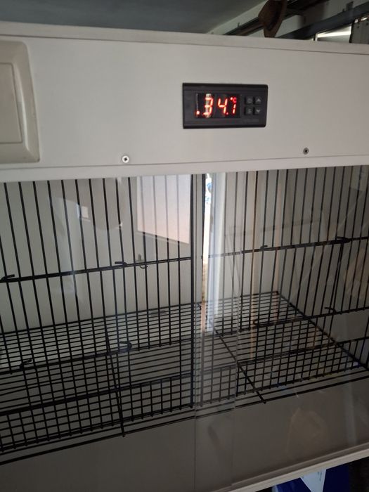 Enfermaria e secagem de aves