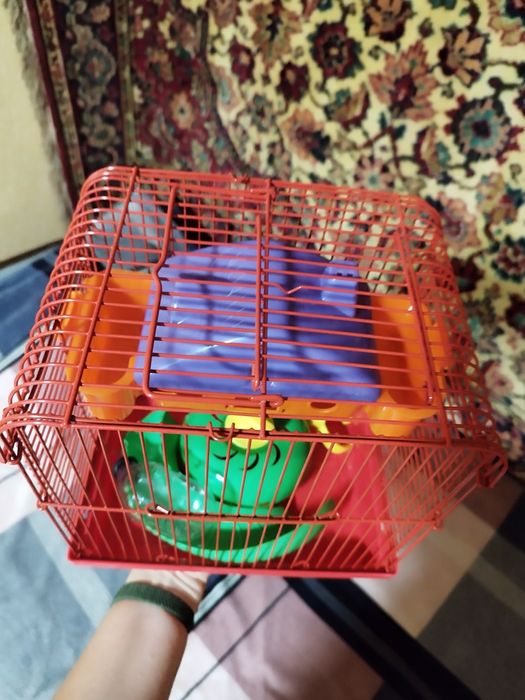 Клітка для гризунів