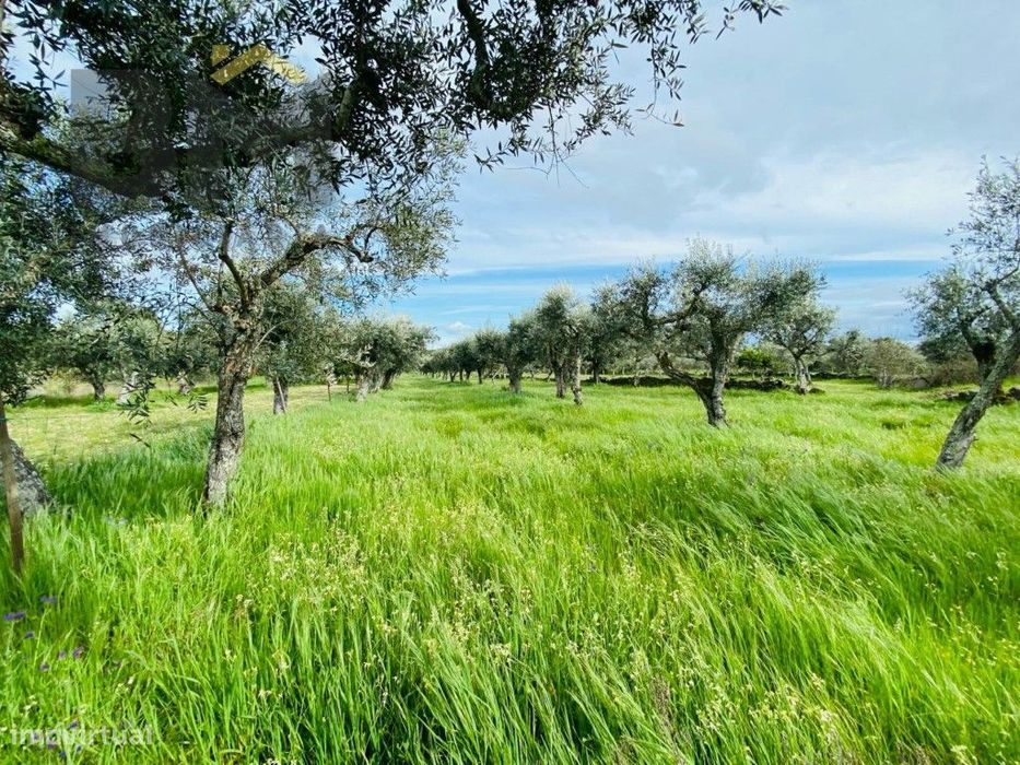 Quinta em zona rural tranquila