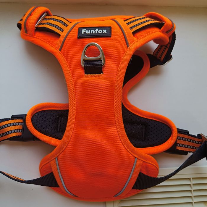 Шлея Funfox анатомічна для собачки