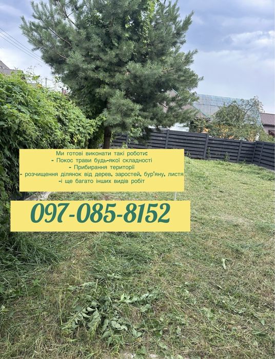 Косіння трави + посадка й обробка рослин