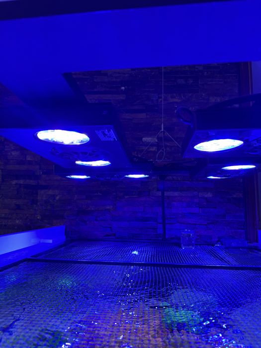 Iluminação aquario ecotech radion gen 3 pro