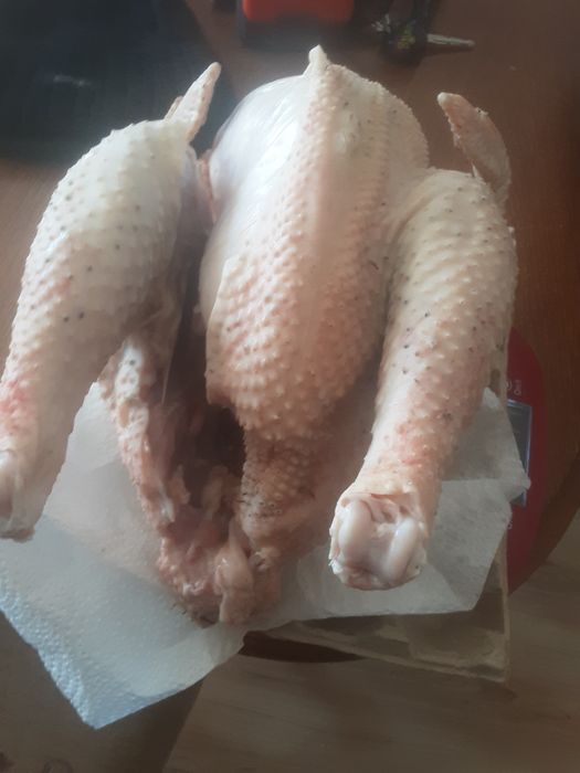Kogut mięsny duży na rosół