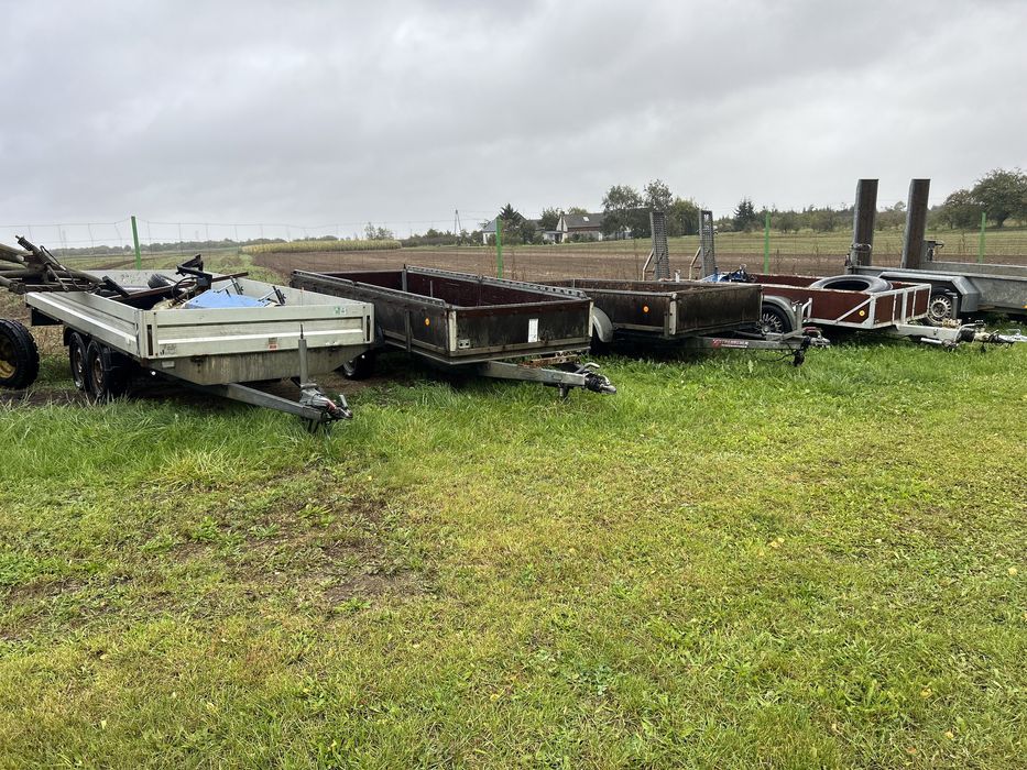 Przyczepka samochodowa kiper do koni Polecam