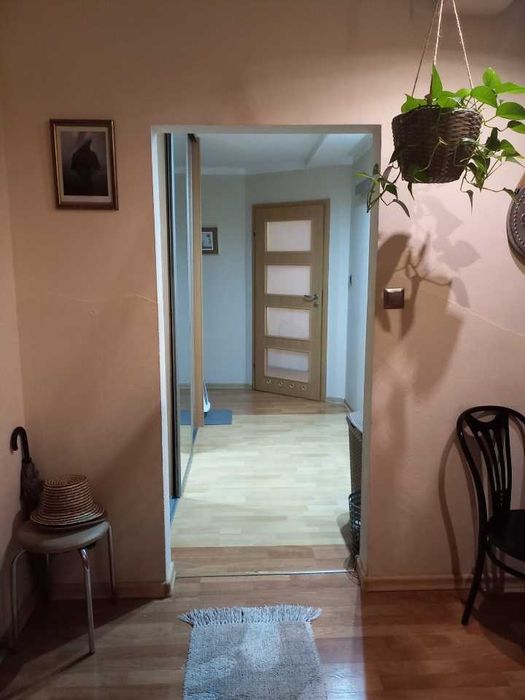 Mieszkanie 71,5 m² - Widok 5