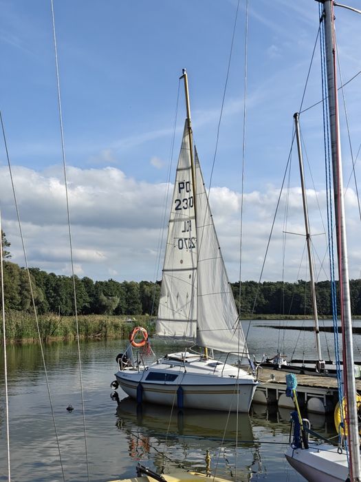 Jacht MICRO Polo 550