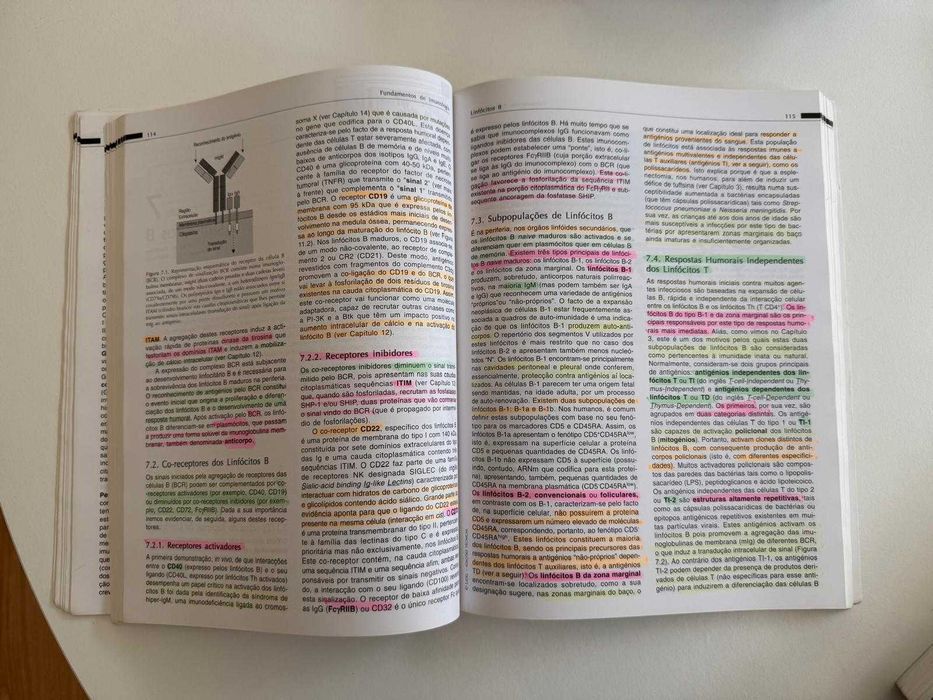Fundamentos de Imunologia, 1ª Ed.