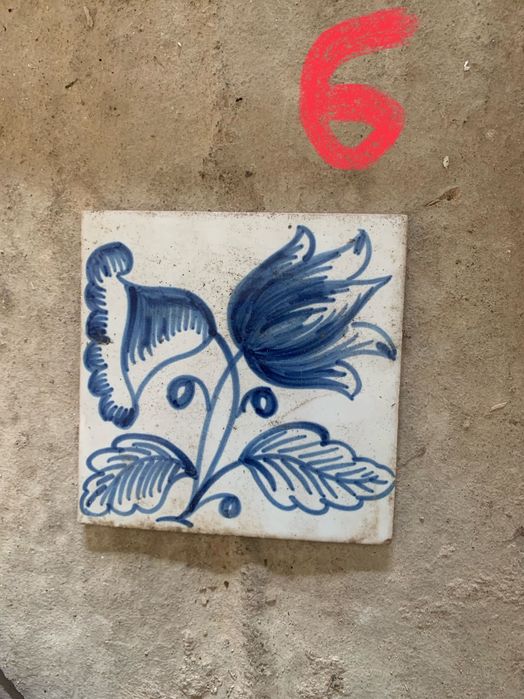 Azulejos viuva lamego novos