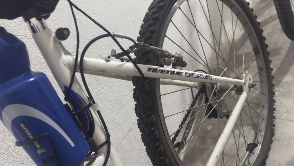 Bicicleta Avenue