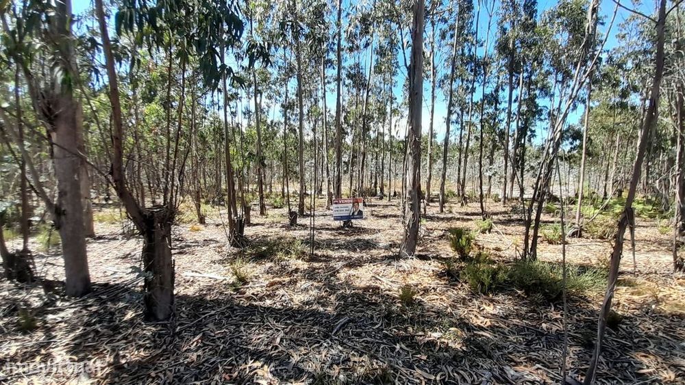 Terreno  para venda — Carriço, Leiria
