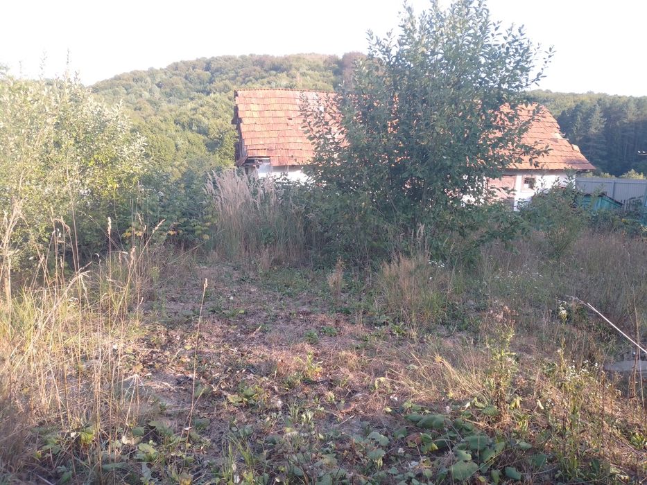Будинок Лопушанка 30 соток  Сваляви
