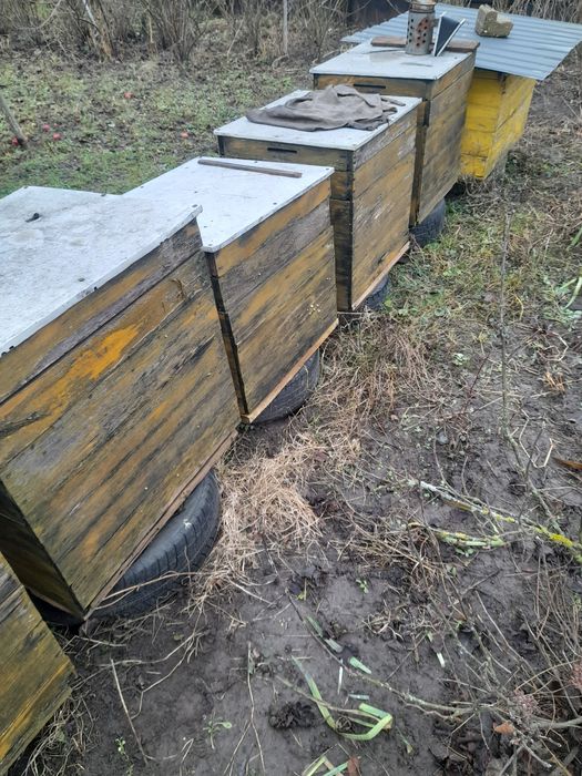 Продам рамки на вулик дадан