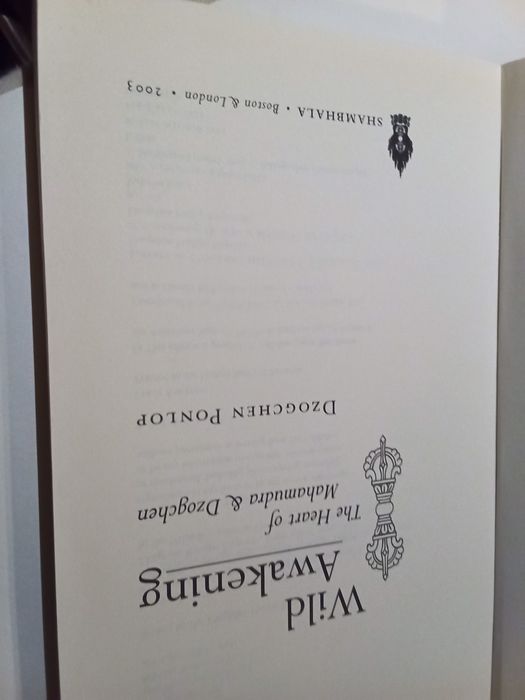 Wild Awakening by Dzogchen Ponlop