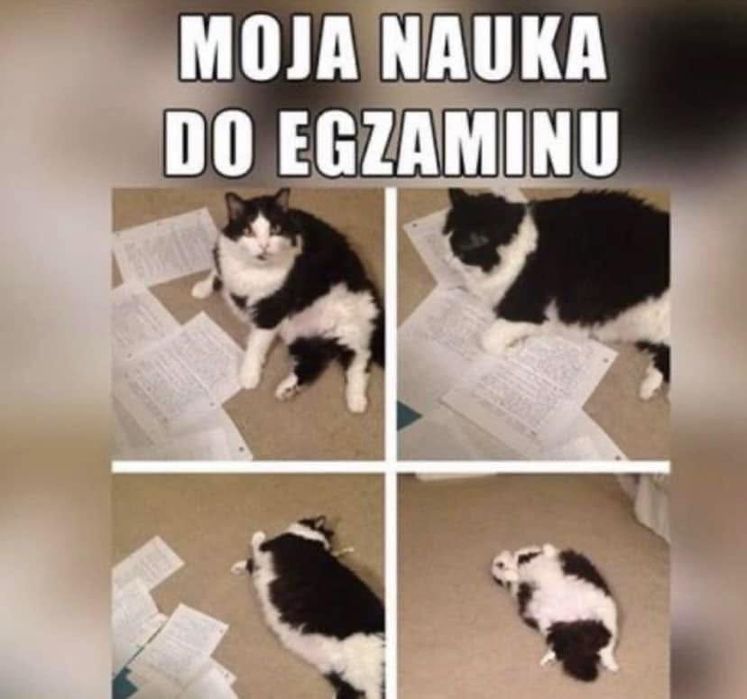 Korepetycje z Biologii i Chemii