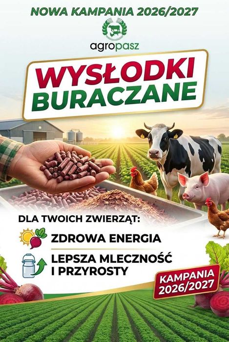Wysłodki buraczane mokre pasza
