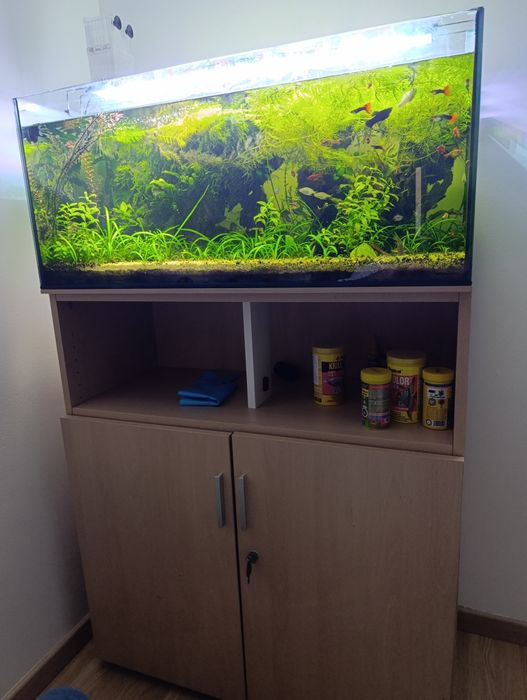 Aquário completo para venda
