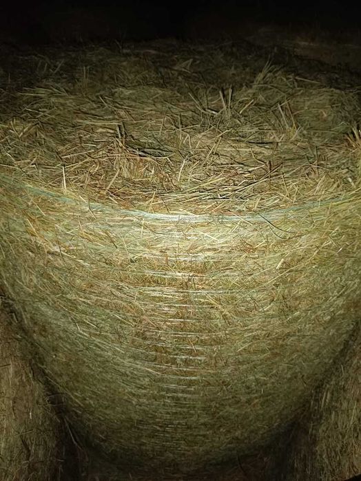 Siano/ słoma/  120/120