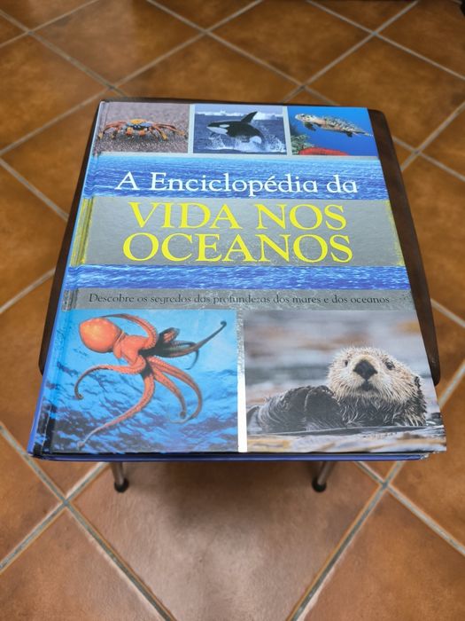 Conjunto de 7 Enciclopédias juvenis