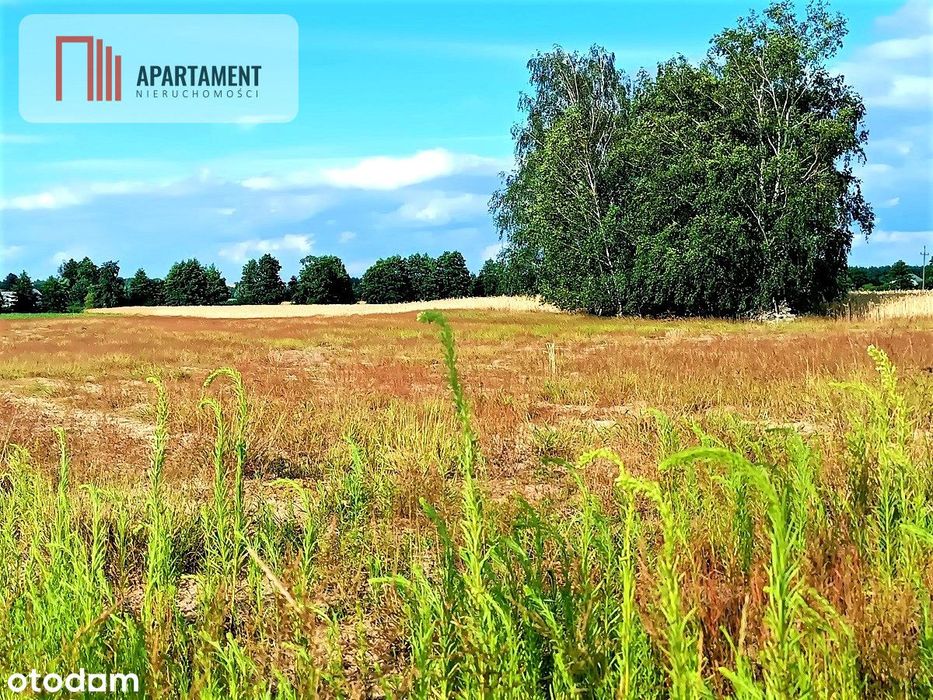 Zławieś Mała 1002m2 Cisza Spokój Super Lokalizacja