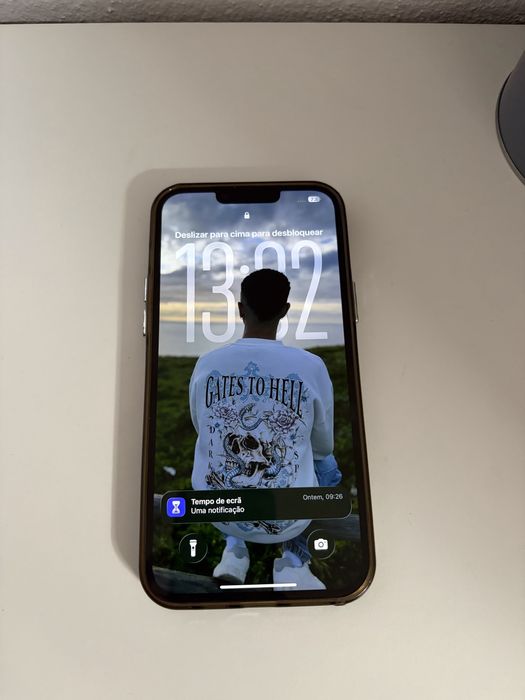 Iphone 13 pro max 256gb