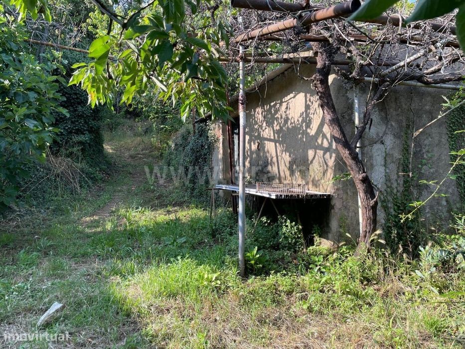 Quintinha / Fundão, Fundão