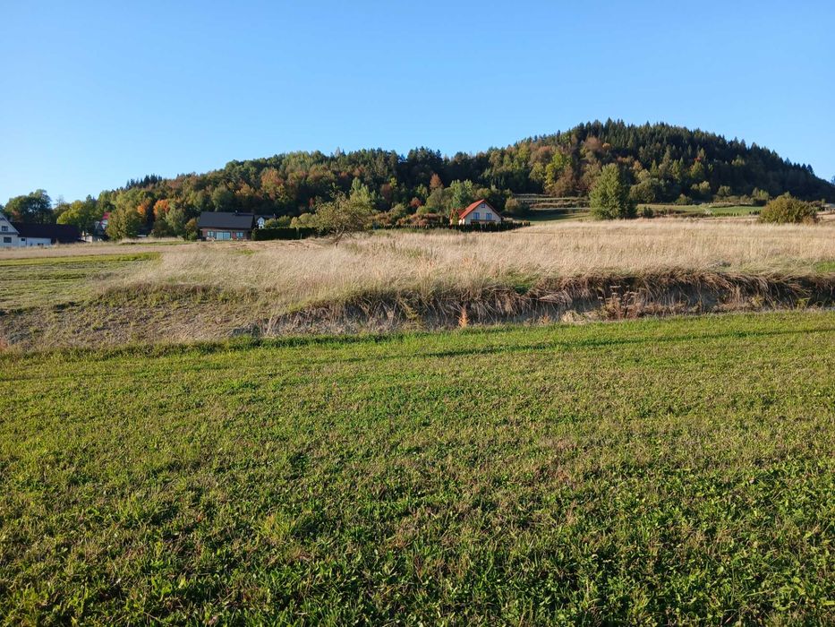 Działka Budowlana Łętownia - Widok 4