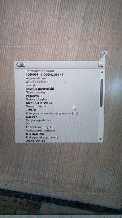 Zdjęcie 2
