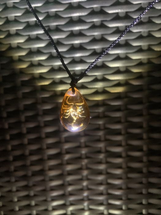 Naszyjnik z prawdziwym skorpionem w żywicy – unikatowy dodatek