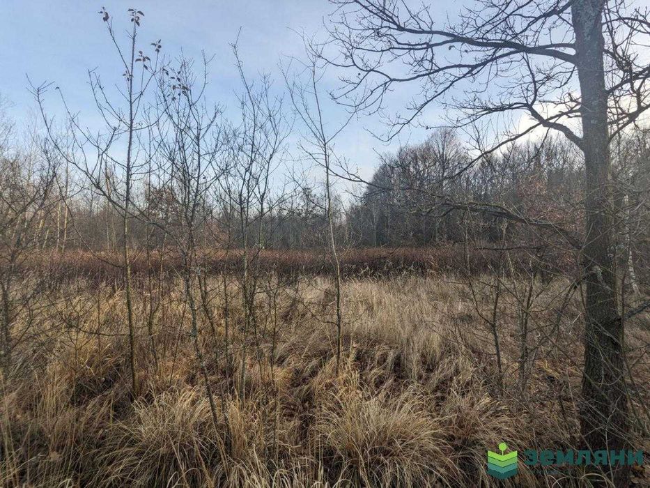 Дачна ділянка Ст Мочари 12 сот (9)