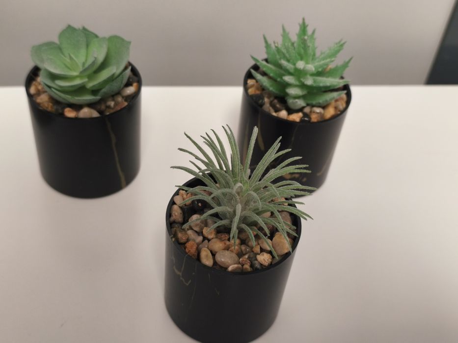 Conjunto de 3 Pequenos Cactos - Decoração Premium Preto / / Dourado