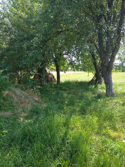 Продається земельна ділянка зі старим будинком в с. Сваричів