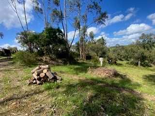 Aceitamos cavalos a pasto