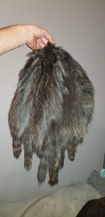 Skórki gabowane  z szopów sprzedam