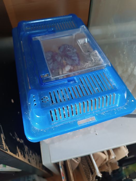 Vendo dois  aquarios