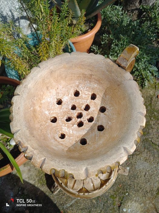 Cinzeiro de pé muito antigo, centenário.