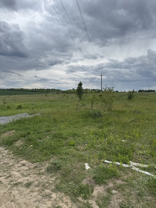 Чудоваа земельна ділянка правельної  форми Лісові  Гринівці 10 соток