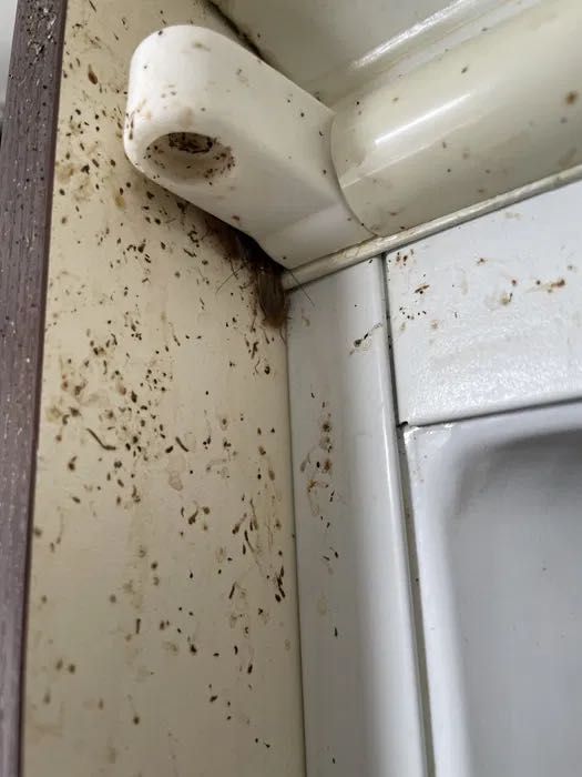 Уничтожение, тараканов, клопов, блох, Без запаха   ХОЛОДНЫЙ ТУМАНОМ