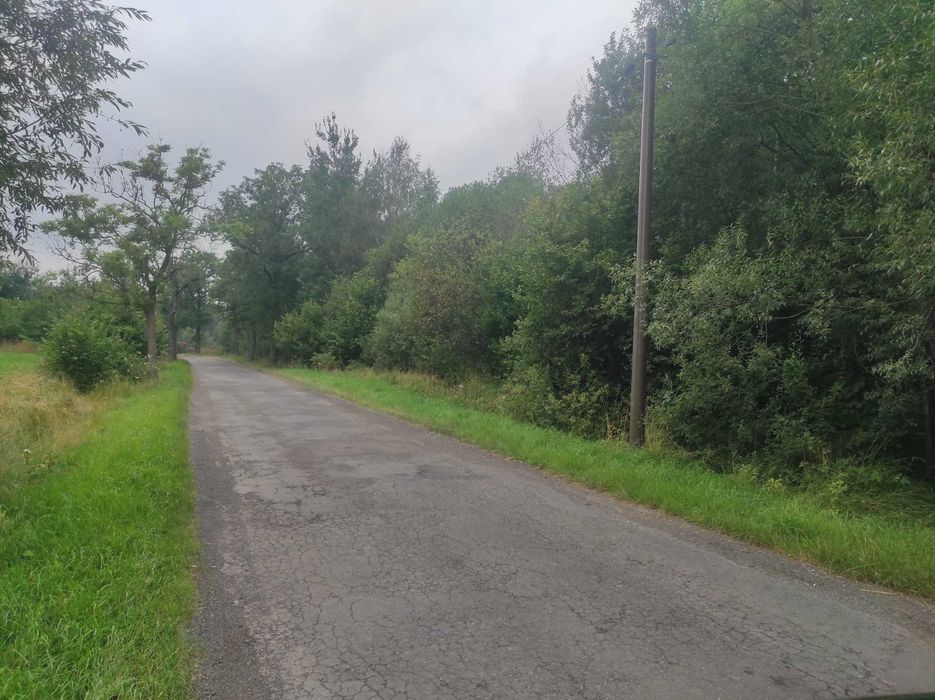 Sprzedam Dom z działką w Rząśniku