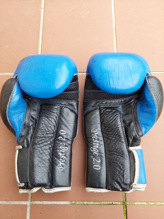 Luvas Boxe LEONE Prestige 2.0
