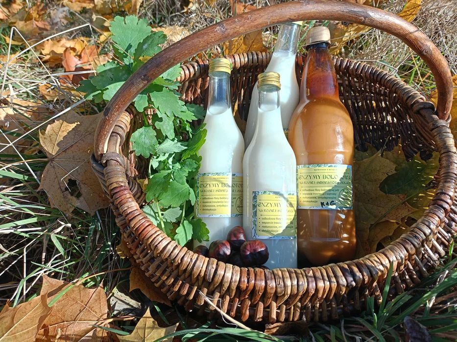 Oxymel octowo-miodowy, odporność, trawienie