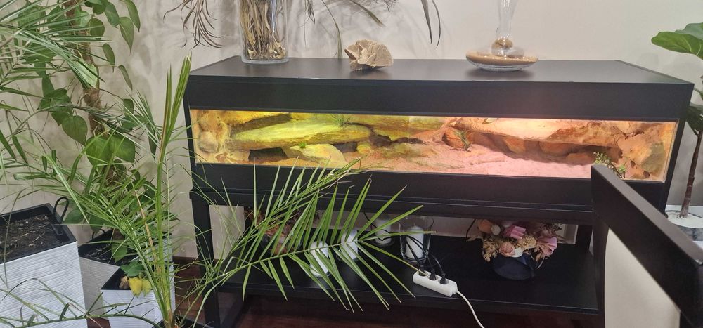 Sprzedam  Terarium 150 cm
