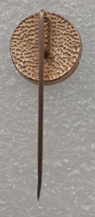 Pin, distintivo político MFA