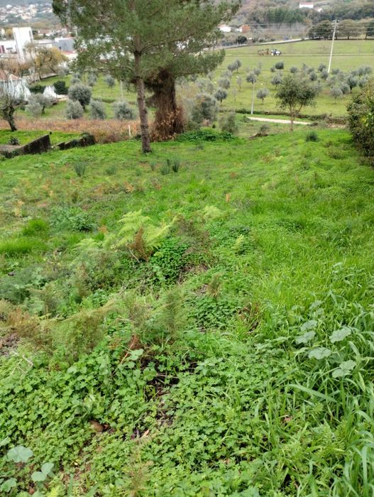 Terreno urbano p/construção