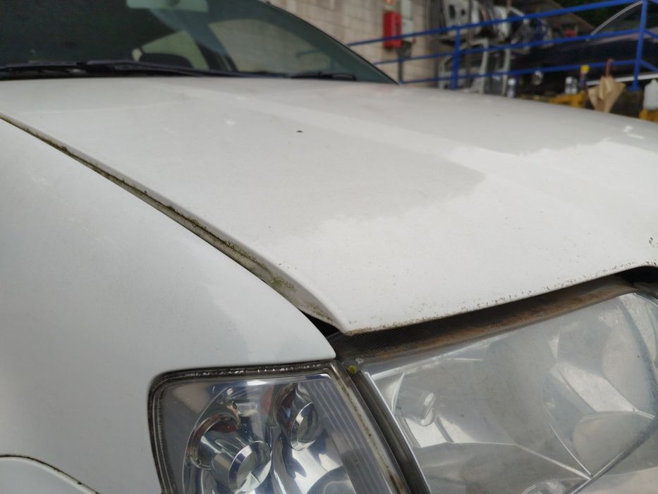 Capot VOLKSWAGEN Polo (6N)
