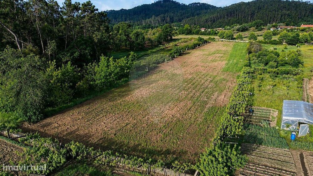 Terreno  para venda