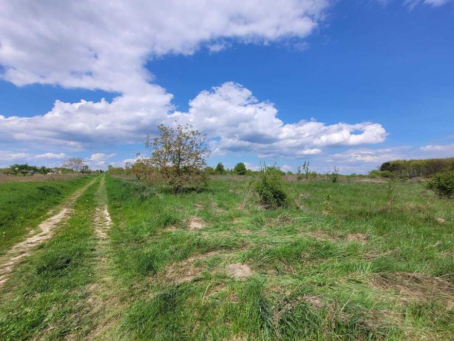 Земельна ділянка під будівництво в Колодіїівці.