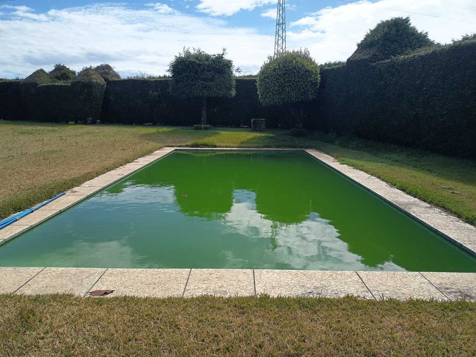 Manutenção de Piscinas