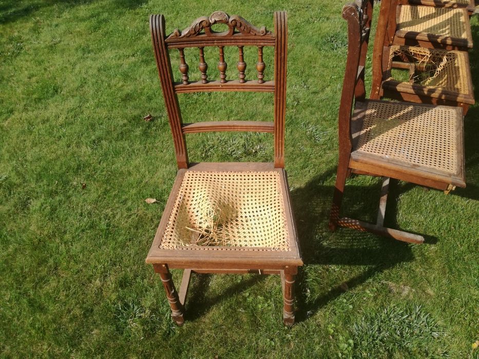Stare, antyczne krzesła dębowe.