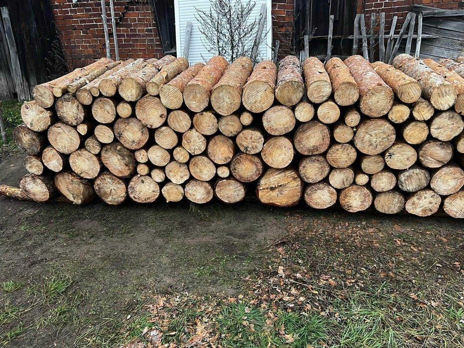 Drewno opałowe do kominka |Suche/mokre | Dąb Jesion Brzoza Olcha Sosna